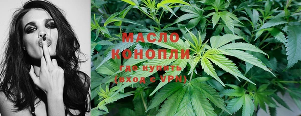 амф Туринск