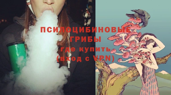 эйфоретик Богородицк
