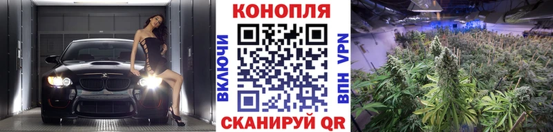 Бошки марихуана Bruce Banner  дарнет шоп  Дигора 